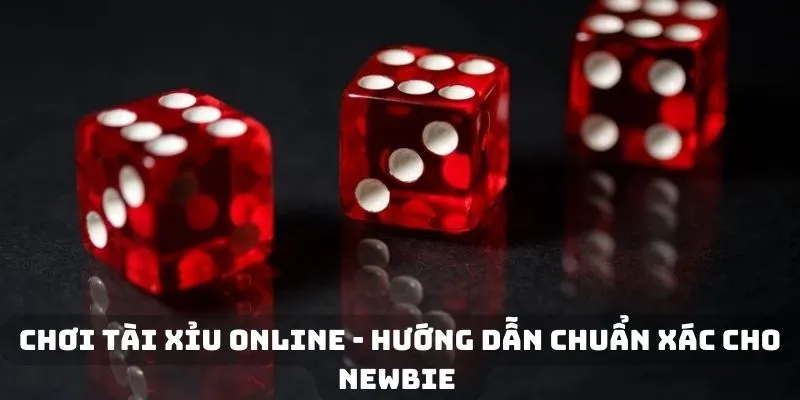 Chơi Tài Xỉu Online - Hướng Dẫn Chuẩn Xác Cho Newbie